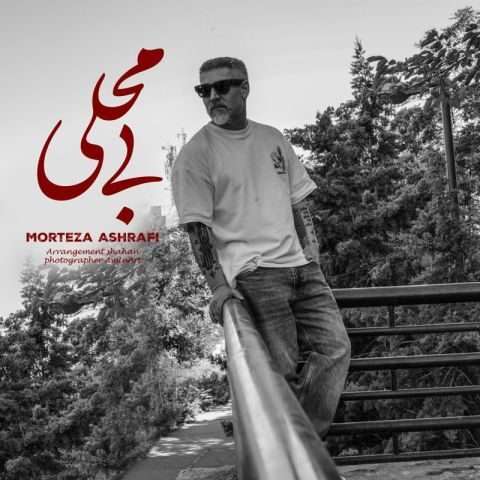 دانلود آهنگ مرتضی اشرفی بی محلی