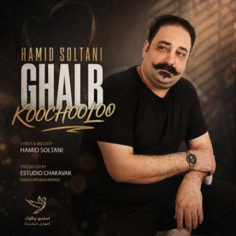 دانلود آهنگ حمید سلطانی قلب کوچولو