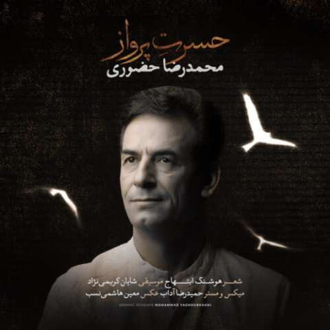 دانلود آهنگ محمدرضا حضورى حسرت پرواز